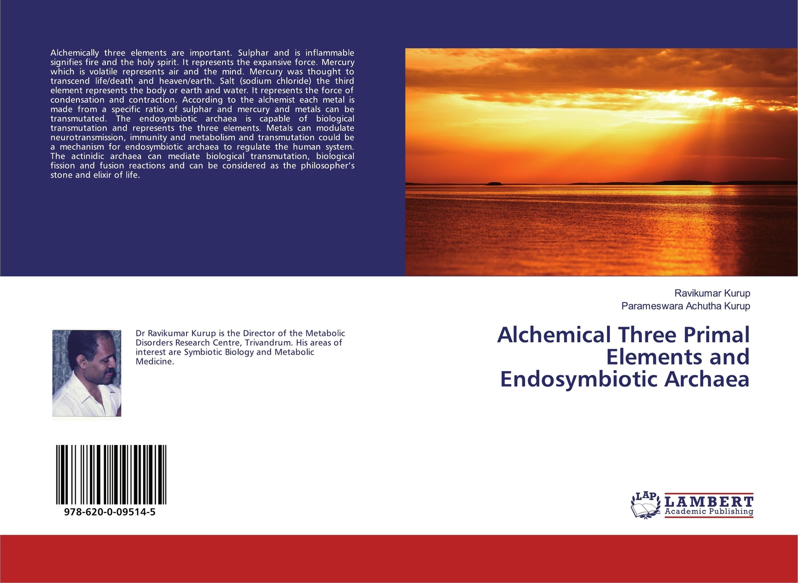 Thumbnail - Alchemical Three Primal Elements And Endosymbiotic Archaea | Kurup (u.