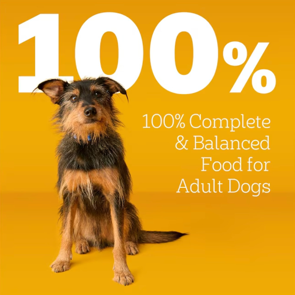 US STOCK Pedigree Dry Dog Food Adult Chicken Dog Food 44-lb 20%OFF