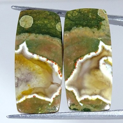 23.00Cts Natural Rainforest Jasper Pair Rhyolite Cushion Cabochon Loose Gemstone