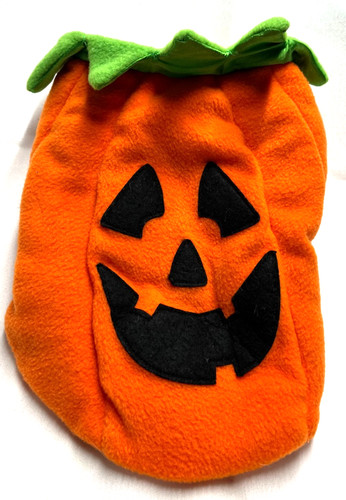 Small Dog Pumpkin Costume- Size XS
