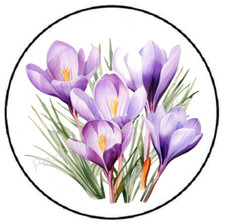 CROCUS FLOWERS ENVELOPE SEALS LABELS STICKERS PARTY FAVORS