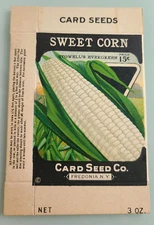 1900 STOWELL'S EVERGREEN 15 cent SWEET CORN FREDONIA NY GRAPHIC LITHO SEED BOX