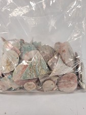 Polished Abalone Shell Pieces Random Set Of 5