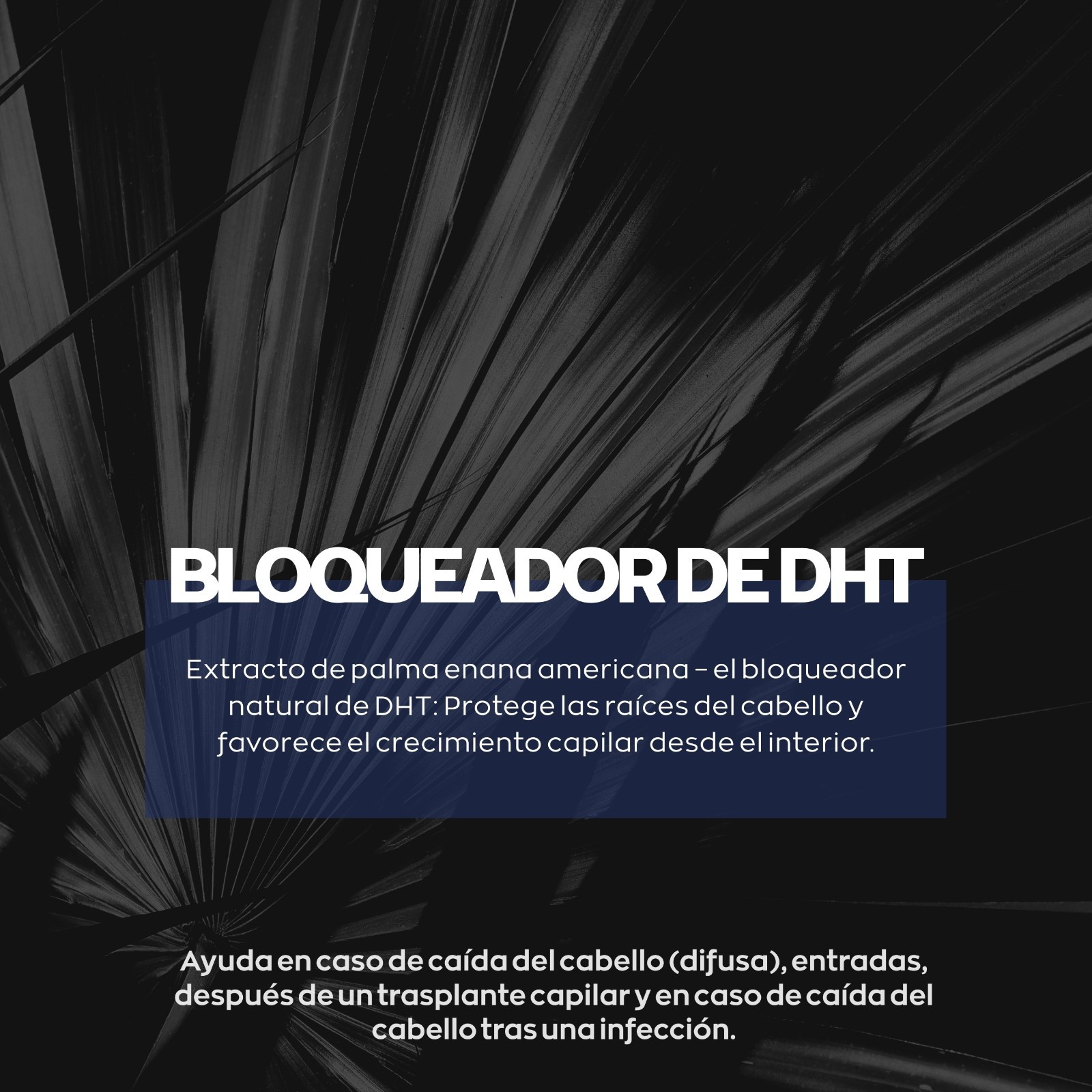 Xpecia Tablet 3x60 Original Hombres bloqueador DHT anticaida vitamina. ESPAÑA foto 4