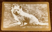 1 SWAP PLAYING CARDS - VINTAGE ENGLISH WIDE NAMED WEST HIGHLAND TERRIER DOG