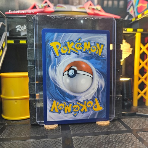 Houndoom Trick or Trade Scarlet & Violet Holo Promo Pokémon TCG 034/198 Common - Picture 4 of 6