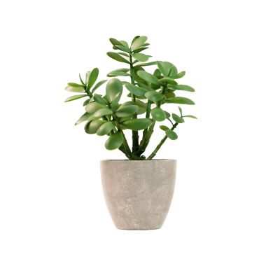 Artificial Potted Jade Plant 12 inch Luxury Faux Succulent Plant for Home  Dec... 197644523245| eBay