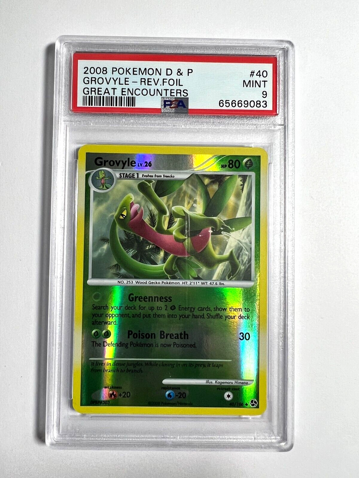 PSA 9 Mint Grovyle Reverse Holo 2008 Pokemon Diamond&Pearl Great Encounters #40