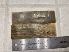 BEAUTIFUL BUFFALO HORN HORN KNIFE HANDLE MATERIAL BLANK SCALES