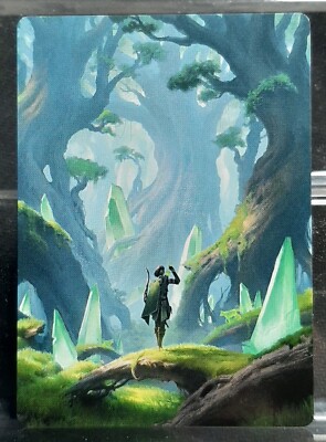 Magic - Art Series: Forest (V.1) Künstlerkarte 25/54 - Magic Foundation - EN/NM