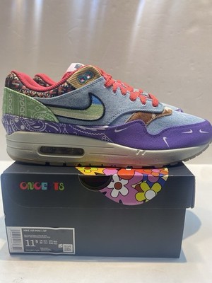 Nike Air Max 1 SP Concepts Far Out Special Box Size 11.5 (DN1803-500)
