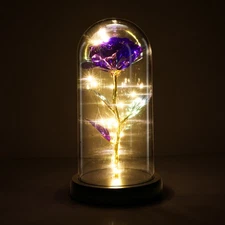 Crystal Galaxy Rose in the glass Dome 15 LED Lights Gift for girlfriend mom wife