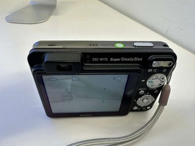 Sony Cyber-shot DSC-W170 10.1MP Digital Camera - Silver (DSC-W170