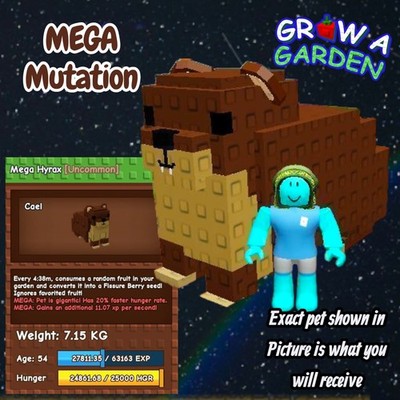 MEGA Hyrax Pet. Age/Weight Shown In Photo. Grow A Garden. Same Day