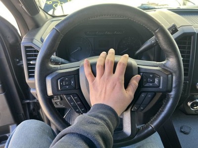 EXPEDITON 2018 Steering Wheel 226143