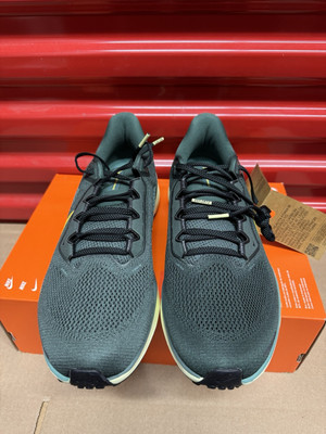 Nike Pegasus 41 Vintage Green FD2722-301 Men display picture 1