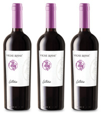 VINO ROSSO - Latino Campania Aglianico IGP – SCATOLA 3 BOTTIGLIE DA 75CL