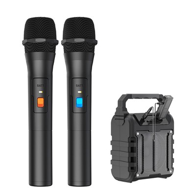 Professional VHF Handheld Microphone System Wireless Mic Karaoke W/ USB Receiver