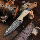 8.7" inch Handmade Damascus Hunting Knife Full Tang Wood Handle Leather Sheath — photo 1