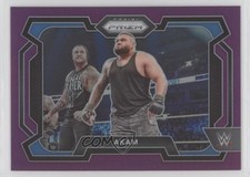 2024 Panini Prizm WWE Purple Prizm 87/149 Akam #24 1c0k