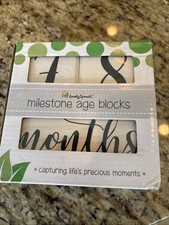 Baby Keepsake Milestone Blocks Growth Marker Baby Age Photo Prop Months Years