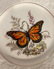 Vintage LORD NELSON 8 1/2 Inch Butterfly Plate