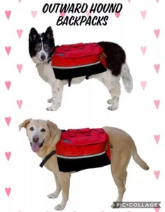 outward hound pack