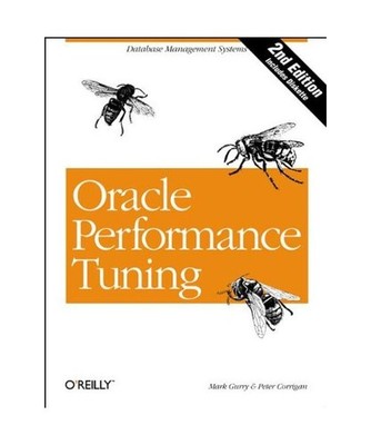 Oracle Performance Tuning: Database Management Systems: Database Management Syst