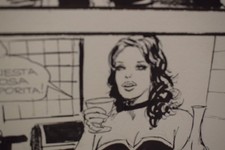 Manara Jolanda de Almaviva tavola originale 25x35cm circa