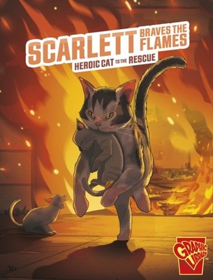 SCARLETT BRAVES THE FLAMES by MANNING, MATTHEW K. Paperback Self Help Business