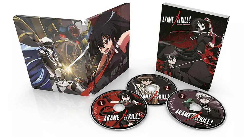 When Will be Akame Ga Kill Season 2 Release? Confirmed Date