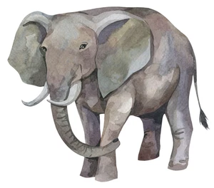 Elephant Safari Self Adhesive Vinyl Sticker