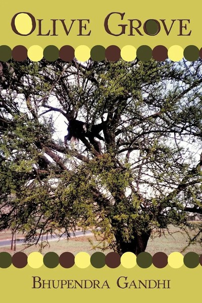 Olive Grove Bhupendra Gandhi Taschenbuch Kartoniert / Broschiert Englisch 2010-image