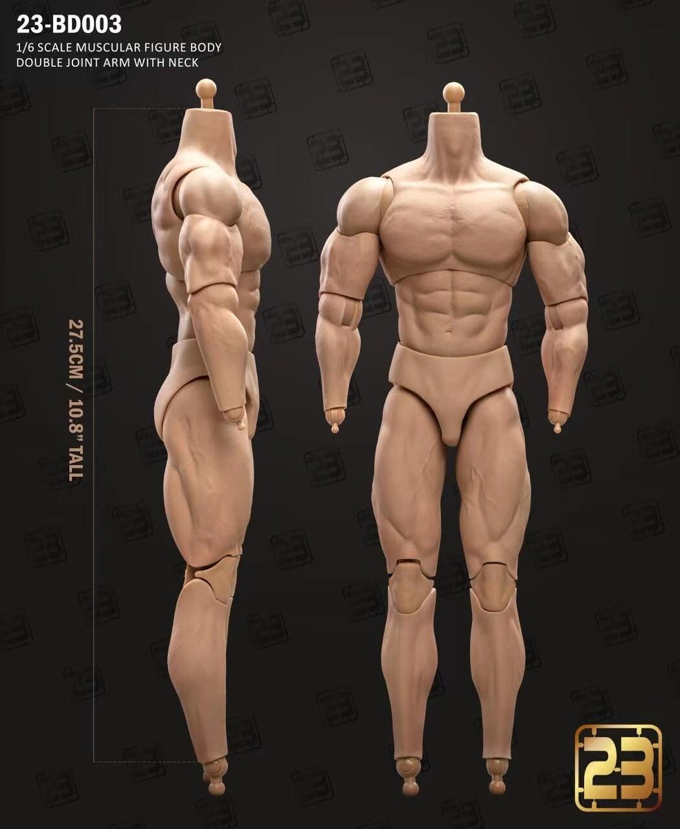 23Toys BD003 1/6 Muscular Male Action Figure Body for 12