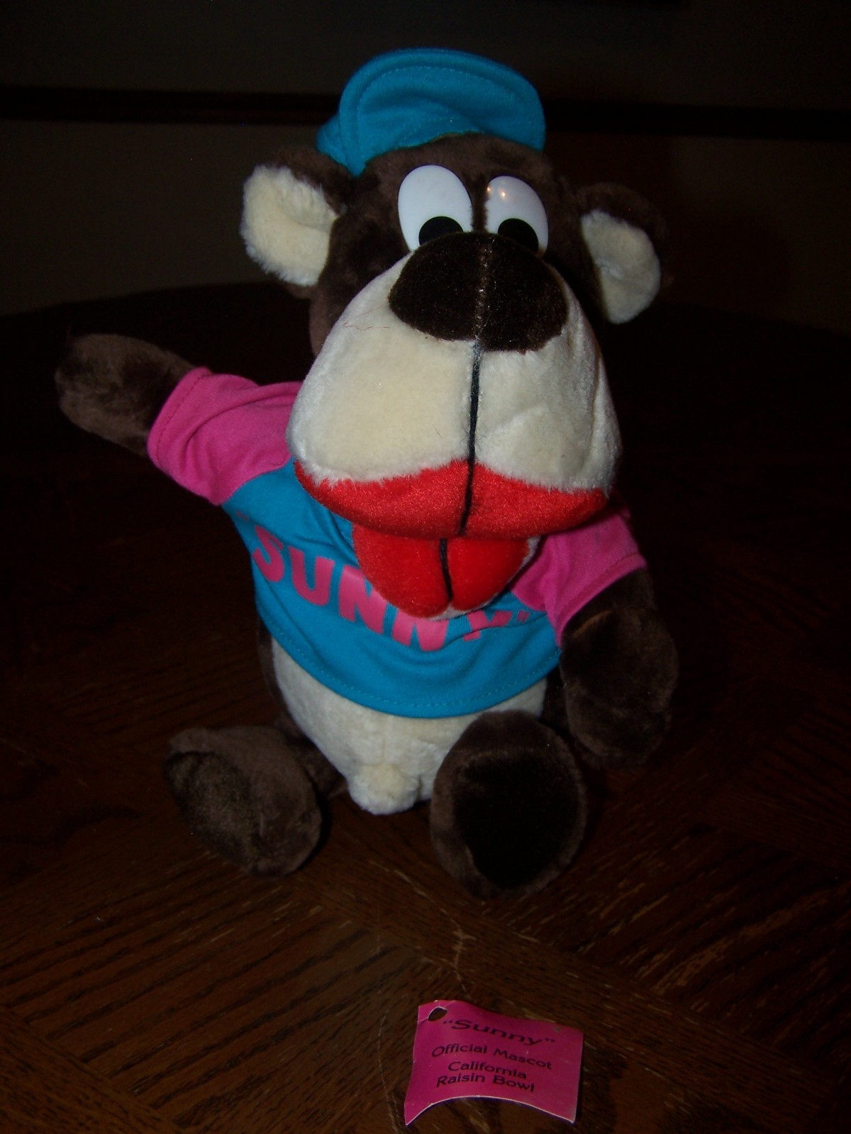 Sunny the Bear Official Mascot California Raisin Bowl RARE HTF eBay