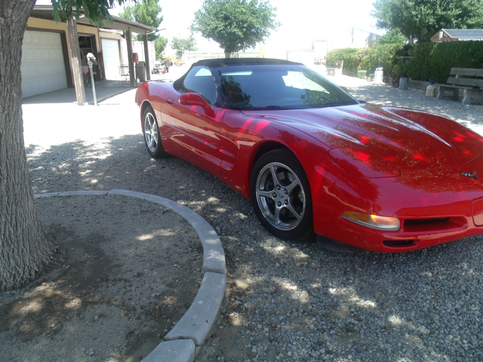 2004 Red Chevrolet Corvette   | C5 Corvette Photo 5