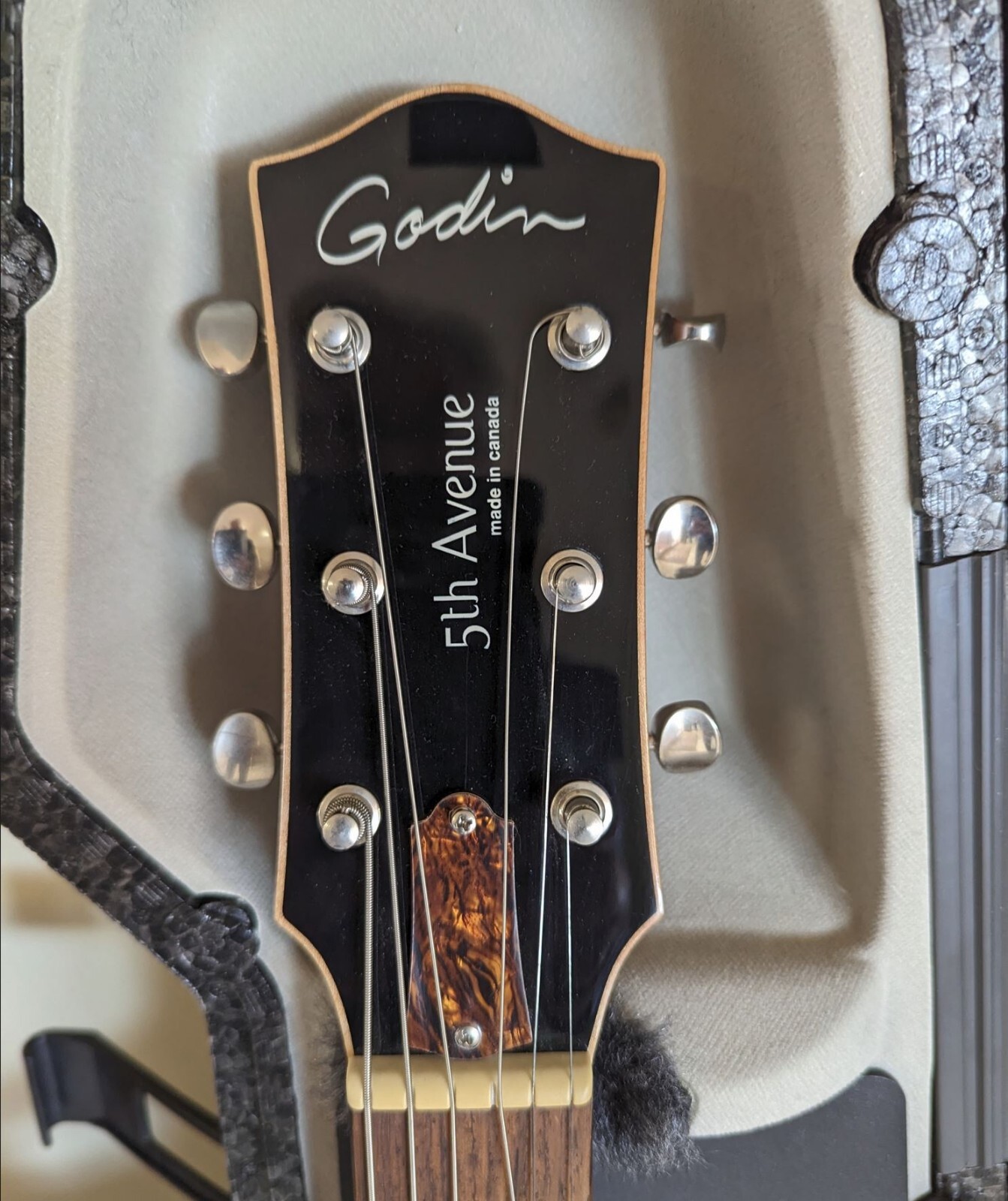 Godin Guitar 5th Avenue eBay