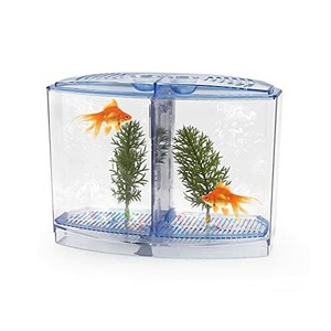 betta fish tank ebay