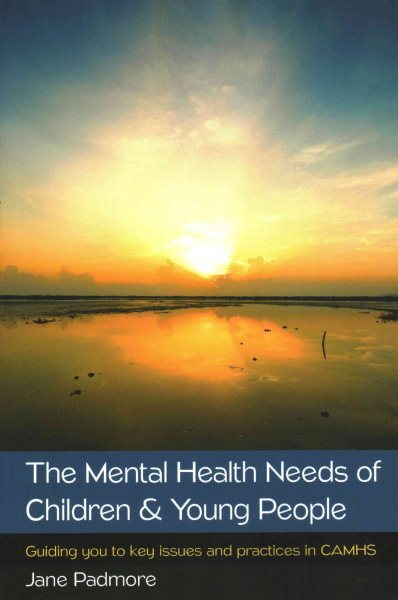 Mental Health Needs of Children & Young People: Guiding You to Key Issues and...
