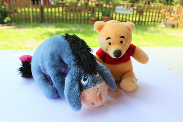 Lot of 2 Winnie the Pooh Characters POOH BEAR & EEYORE Disneyland & Gund perfect | eBay