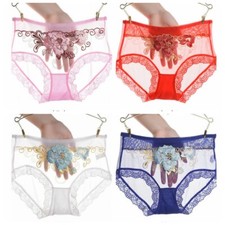 Lady Floral Embroidery Lace Sheer Mesh Briefs Panties Underpants Underwear