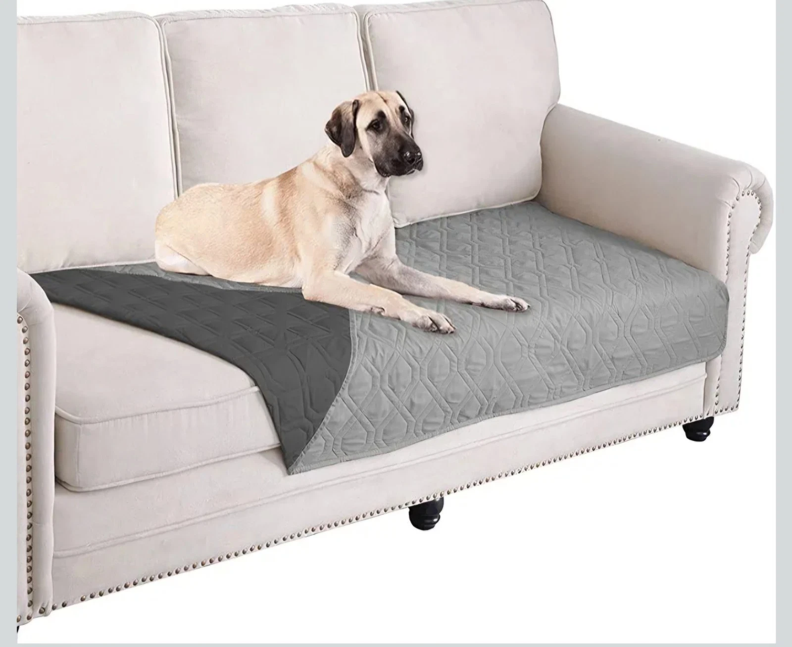 Reversible Dog Bed Cover Pet Blanket for Furniture, Bed, Couch - Large 62x82 In
Opens in a new windo