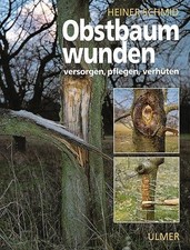 Obstbaumwunden: Versorgen, pflegen, verhüten...