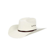 Twister Unisex 5X Natural Shantung Straw Cowboy Hat T71563