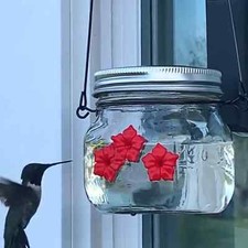 Mason Jar Hummingbird Feeder w/Three Ports Outdoor Garden Corridor Balcony D cor