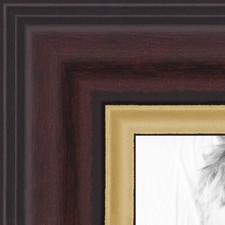 ArtToFrames Picture Frame Custom 1.25" Brown Mahogany and Gold Slope 4447 Small