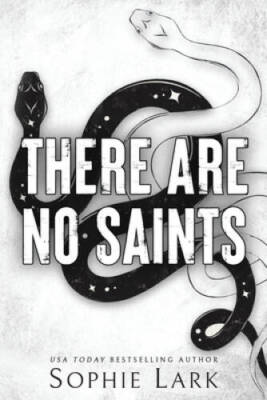 #ad #ad There Are No Saints Sinners Duet 1 Paperback By Lark Sophie VERY GOOD $5.48