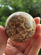 182g Natural Polished Leopard Skin Jasper Crystal Healing Sphere Brown/Tan Color