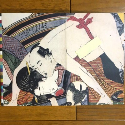 Ehon Hana Fubuki von Utamaro 3 Buch Set Erotik Ukiyo-e Art Gakken 1995 Selten NM