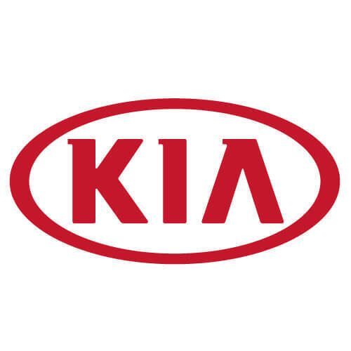 Amortiguador superior para Kia (N/P 46713-1M500)